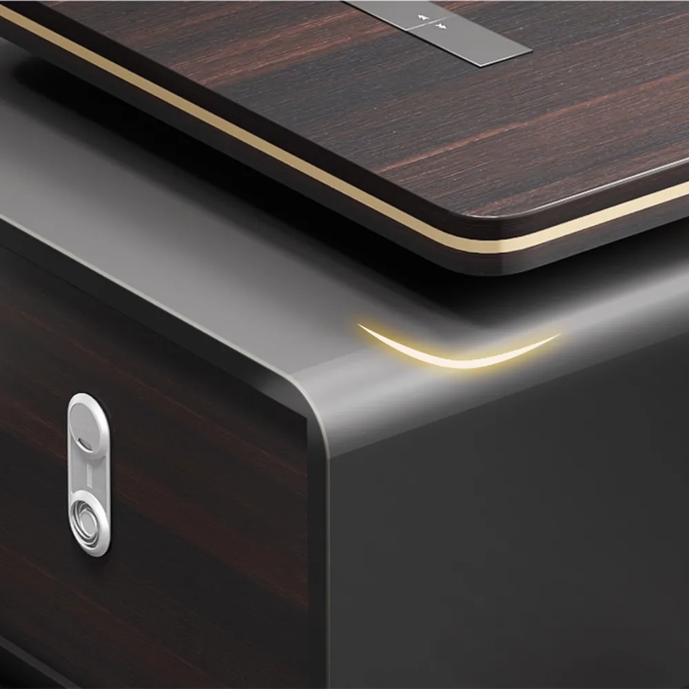 Executive Desks in Modern Minimalist Design - image 15