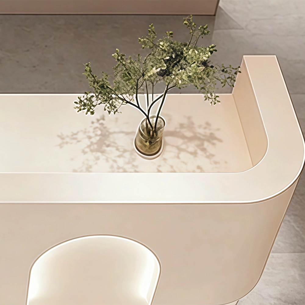 Salon Beauty Salon Reception Desk - image 7