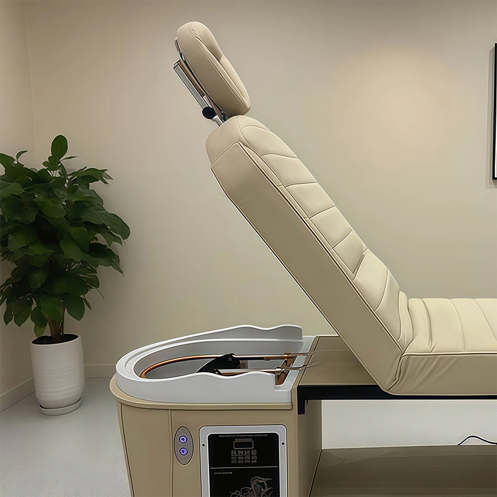 Electric Shampoo Bed with Foot Spa - image 4