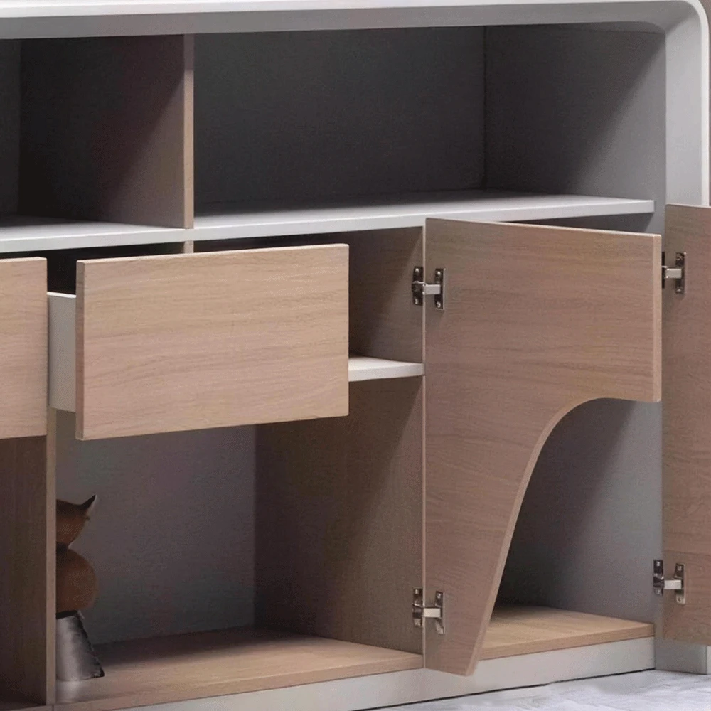 Modern Minimalist Wooden Multifunctional Storage Low Cabinet - image 3