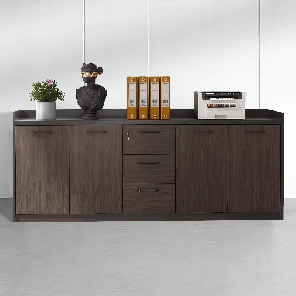 Multi-Purpose Wood Office Cabinet - image 7