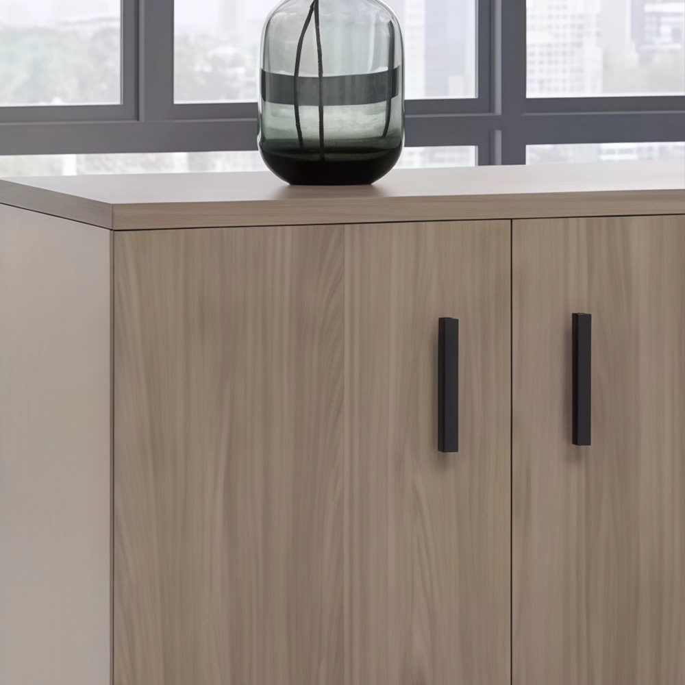 Low Office Cabinet for Files, Printer, and Storage - image 3