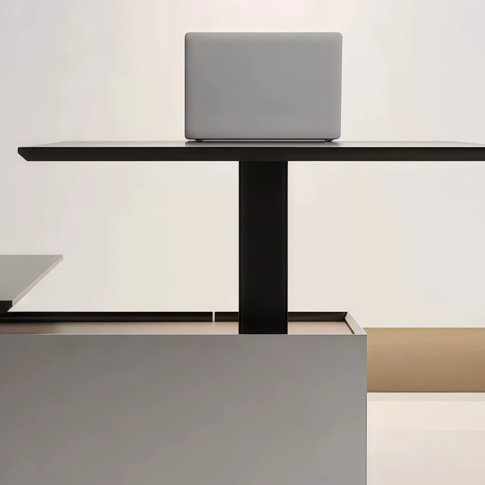 Premium Minimalist Smart Executive Standing Desk - image 3