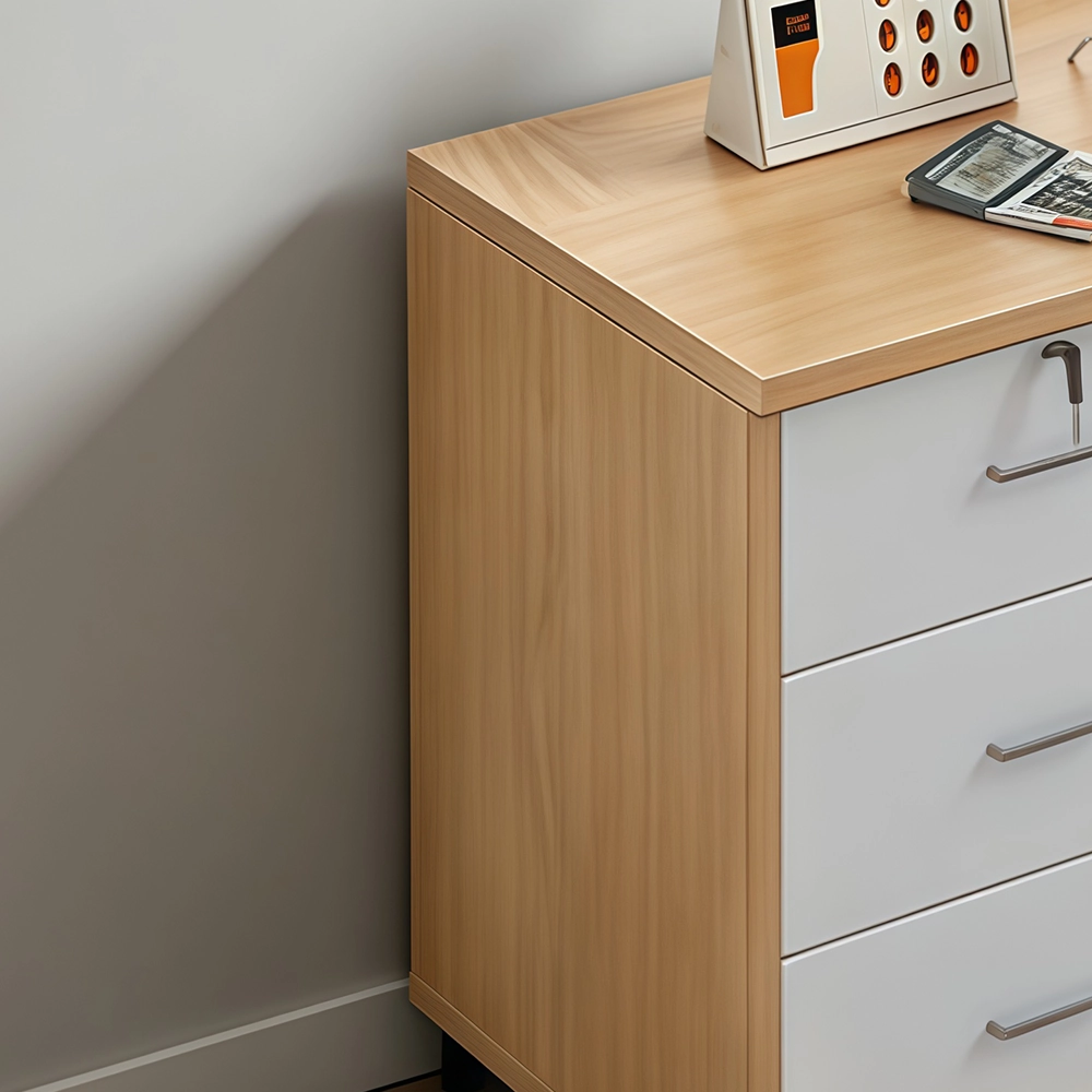 Mobile Lockable Low Office Cabinet - image 5
