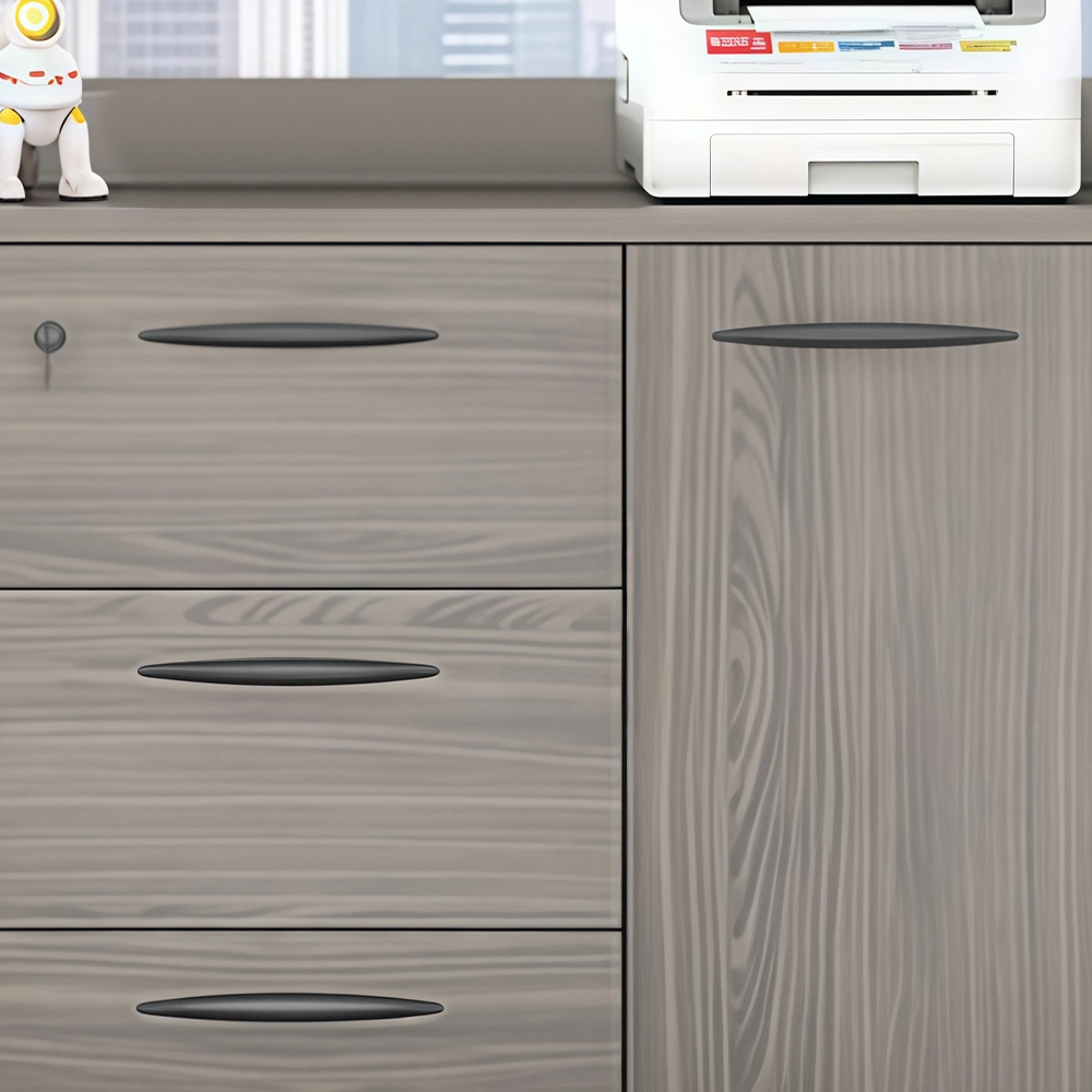 Lockable Low Office Partition Cabinet - image 4