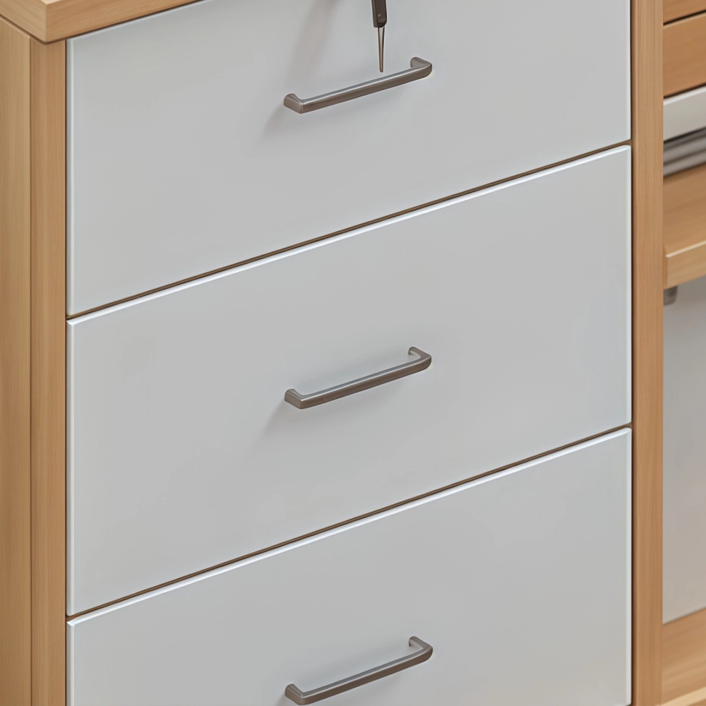 Mobile Lockable Low Office Cabinet - image 6