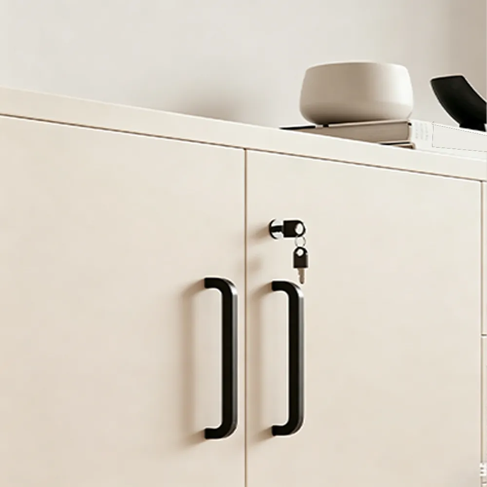 Low Office Filing Cabinet with Lockable Drawers - image 5