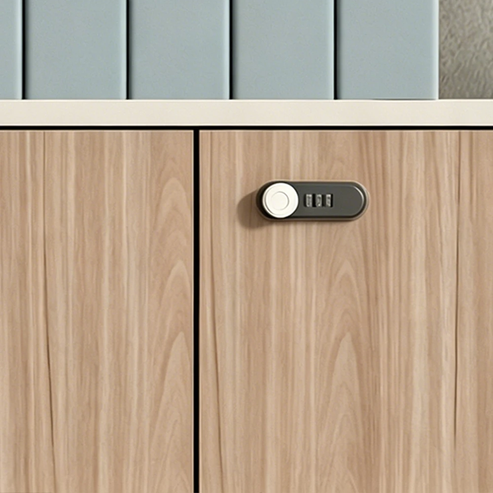 Low Office Storage Cabinet with Lock - image 4