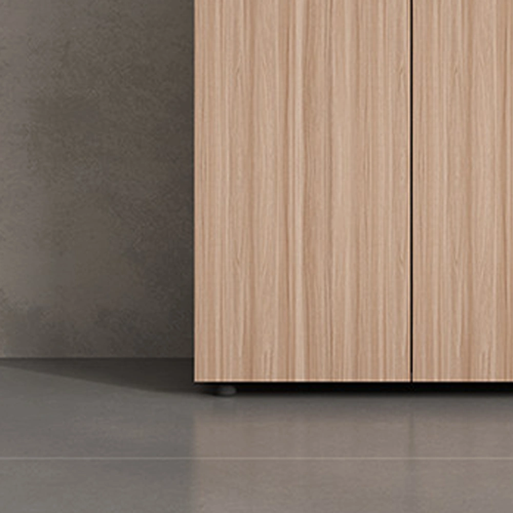 Low Office Storage Cabinet with Lock - image 5