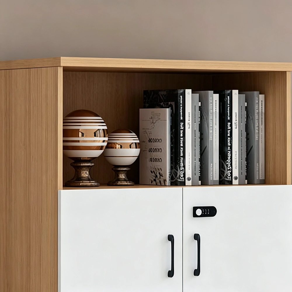Office Filing Cabinet Low Storage Cabinet with Lock - image 5