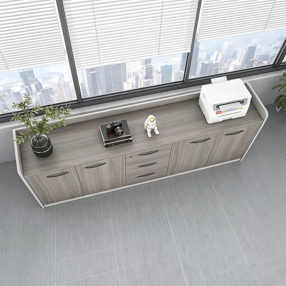 Lockable Low Office Partition Cabinet - image 2