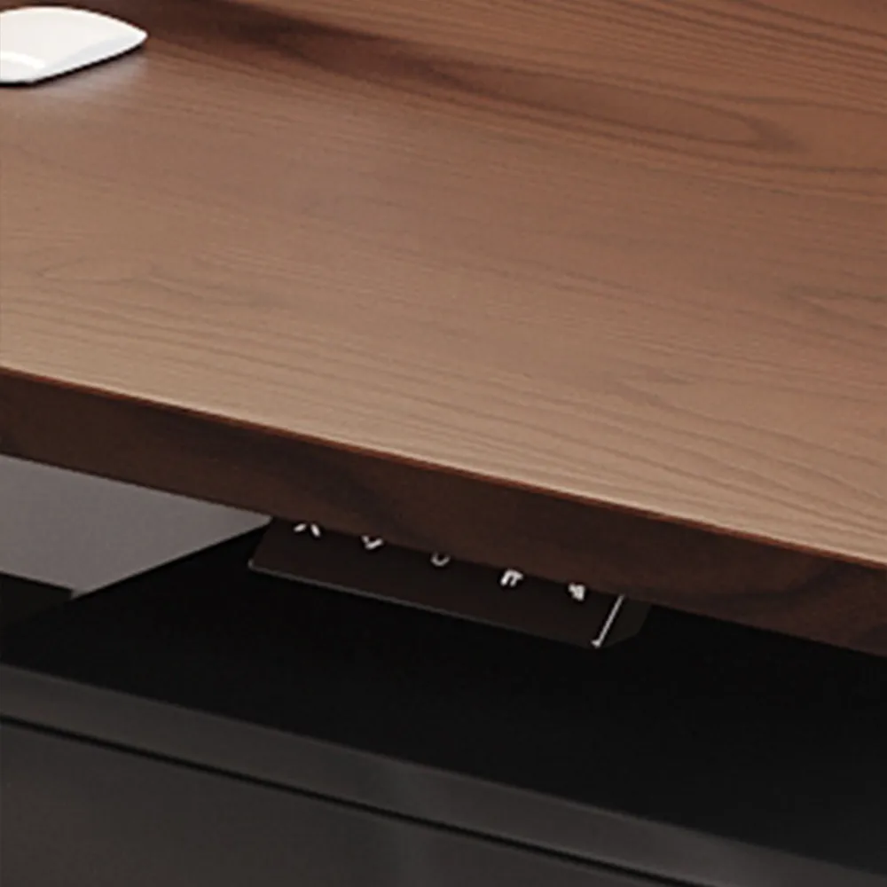 Electric Dual Desk with Privacy Panel - image 6