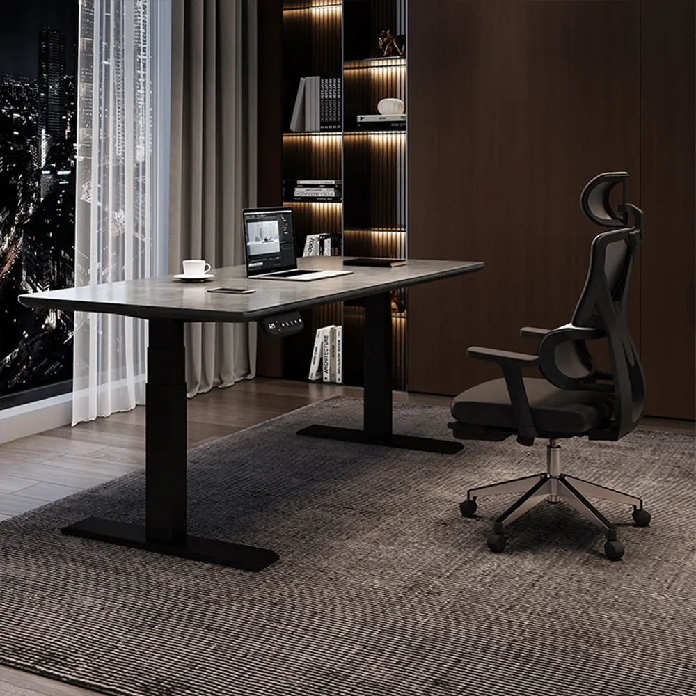 Sit Stand Computer Desk for Office Workstation - image 2
