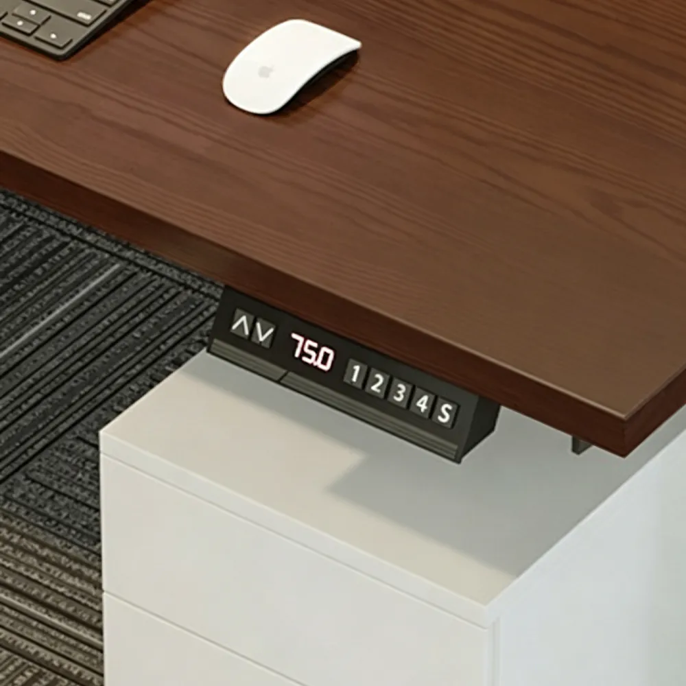 Sit Stand Workstation for Office Employees - image 4