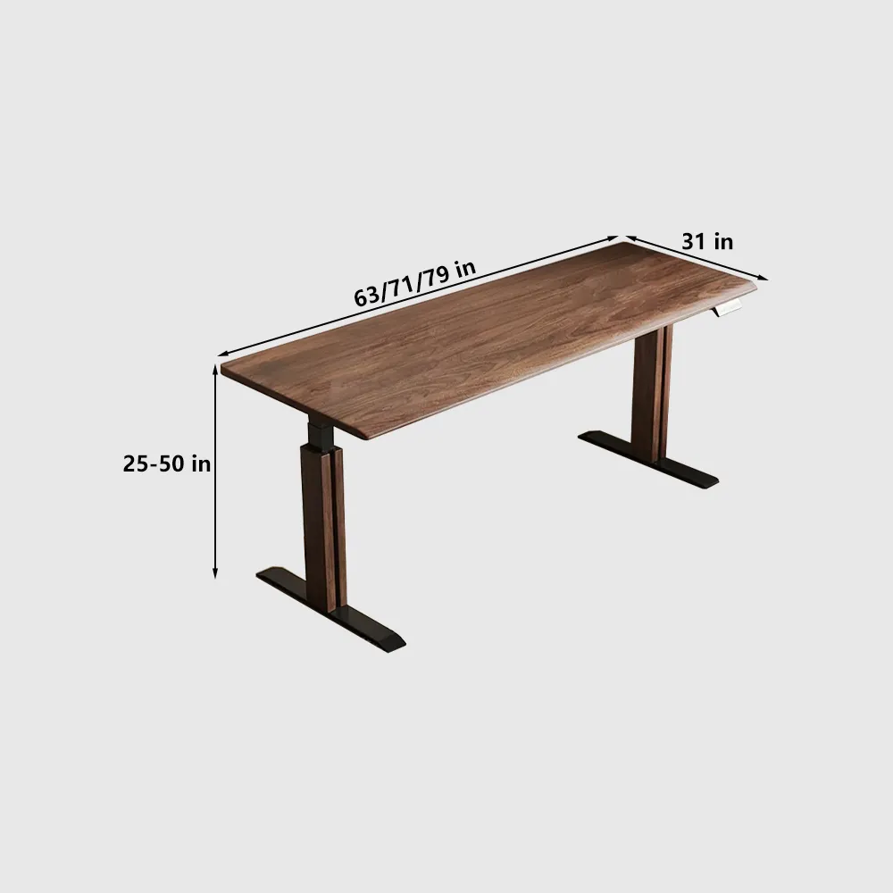 Modern Adjustable Height Standing Desk — Electric Sit-Stand Long Workbench for Office - image 9